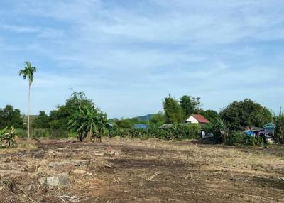 Land for sale, good location in Sriracha, area 4 -2-89 rai.