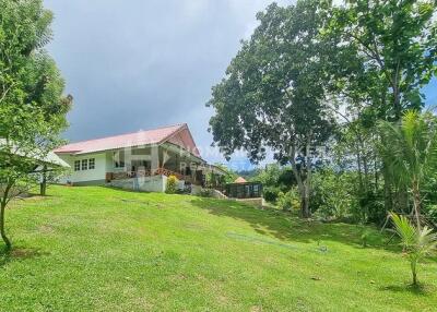 Chalong Home with Expansive Garden