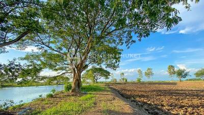 คาเฟ่ริมน้ำและรีสอร์ทในอยุธยา