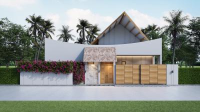 Single-Storey Modern Tropical Pool Villas