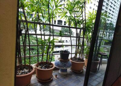 For Rent Bangkok Condo Baan Somthavil Ratchadamri BTS Ratchadamri Pathum Wan