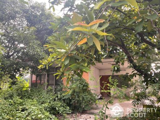 1-BR House in Bang Chak