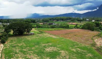 Land for sale next to the Ping River with a view of Doi Chiang Dao in Chiang Mai Province.