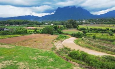 Land for sale next to the Ping River with a view of Doi Chiang Dao in Chiang Mai Province.