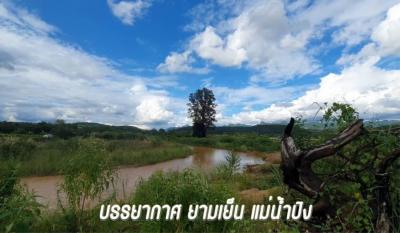 Land for sale next to the Ping River with a view of Doi Chiang Dao in Chiang Mai Province.