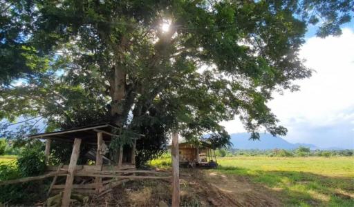 Land for sale next to the Ping River with a view of Doi Chiang Dao in Chiang Mai Province.