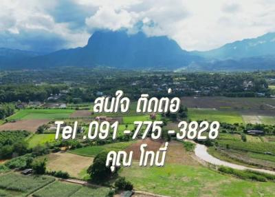 Land for sale next to the Ping River with a view of Doi Chiang Dao in Chiang Mai Province.