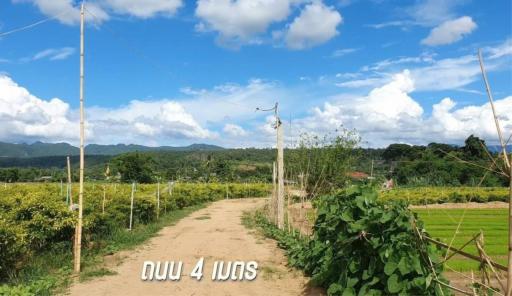 Land for sale next to the Ping River with a view of Doi Chiang Dao in Chiang Mai Province.