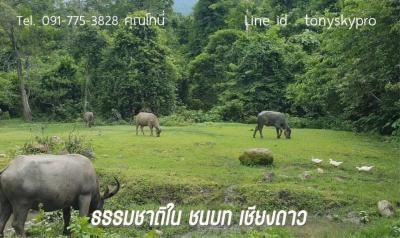 Land for sale next to the Ping River with a view of Doi Chiang Dao in Chiang Mai Province.