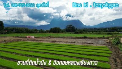 Land for sale next to the Ping River with a view of Doi Chiang Dao in Chiang Mai Province.