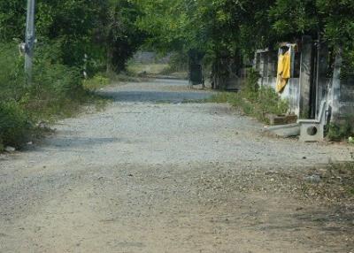 Gravel road leading towards a property with surrounding greenery