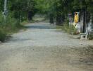 Gravel road leading towards a property with surrounding greenery