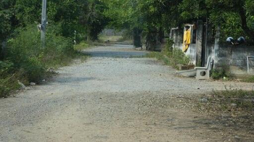 Gravel road leading towards a property with surrounding greenery