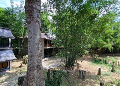 6 bed house for rent in Don Kaew, Mae Rim, Chiang Mai