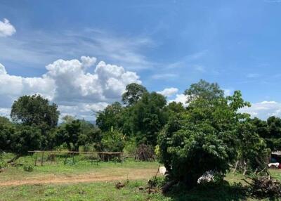 A beautiful plot of land for sale in Mae Rim, Chiang Mai