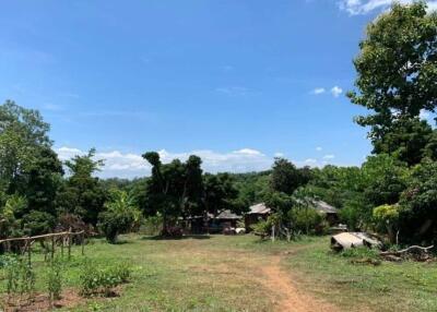 A beautiful plot of land for sale in Mae Rim, Chiang Mai