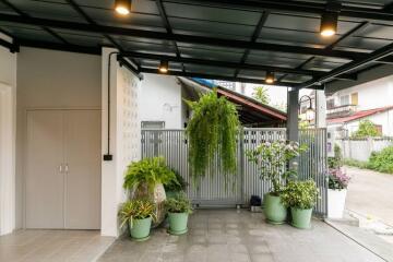 3 bed townhouse for sale in Pa Daet, Muang Chiang Mai