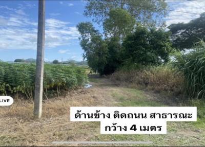 Land for sale, 7 rai 310 square wah, Highway 332, Phlu Ta Luang, Sattahip, Chonburi.