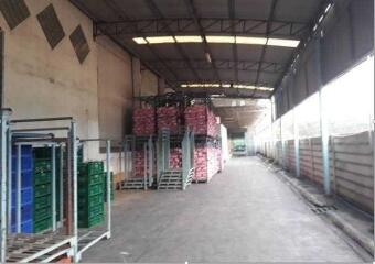 For Sale Pathum Thani Factory Khlong Luang