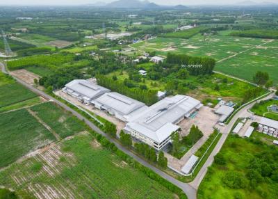 Offer land with factories in the Eastern Economic Area,Bo Thong, Chonburi