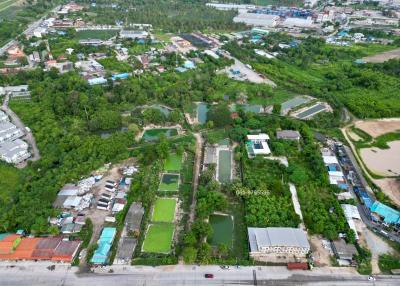 Land for sale on Nong Kho Road, good location, at Sriracha, Chonburi.