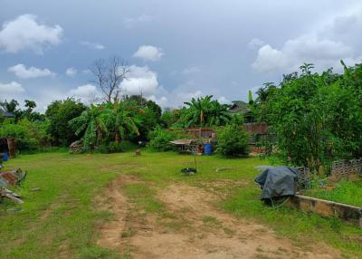 Spacious backyard with greenery and clear skies