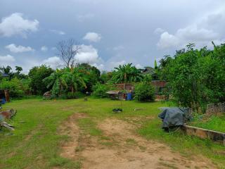 Spacious backyard with greenery and clear skies