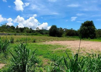 Beautiful Land for Sale in Bang Saray