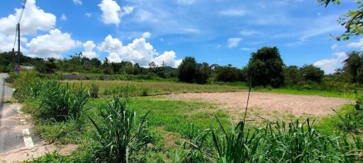 Beautiful Land for Sale in Bang Saray