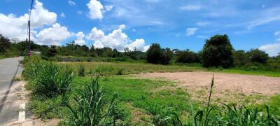 Beautiful Land for Sale in Bang Saray