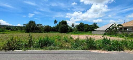 Beautiful Land for Sale in Bang Saray