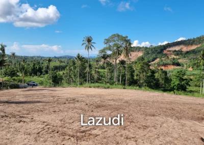 Flat Land 400 SQM for Sale in Maenam Soi 3