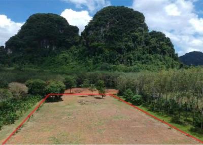 1,600 Sqm. Land listed for ฿ 1,300,000.