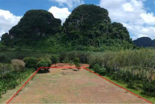 1,600 Sqm. Land listed for ฿ 1,300,000.