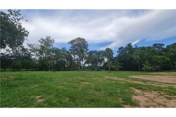 LAND FOR SALE (National Higway No.36) ขายที่ดิน