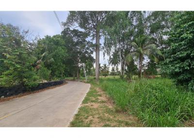 LAND FOR SALE (National Higway No.36) ขายที่ดิน