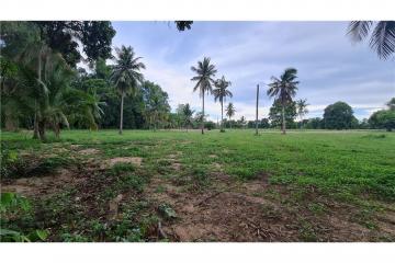 LAND FOR SALE (National Higway No.36) ขายที่ดิน