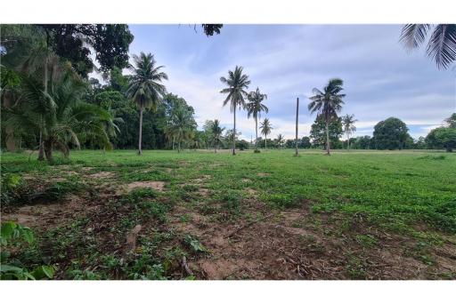 LAND FOR SALE (National Higway No.36) ขายที่ดิน