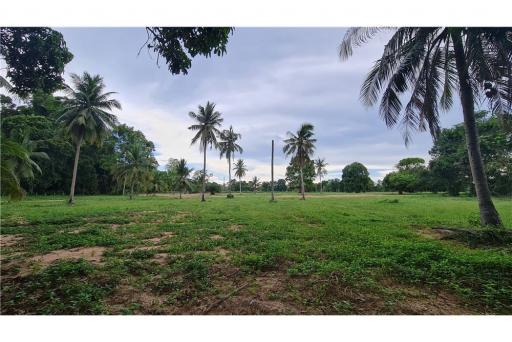 7,792 Sqm. Land listed for ฿ 2,500,000.