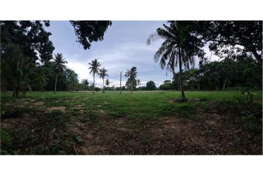 LAND FOR SALE (National Higway No.36) ขายที่ดิน