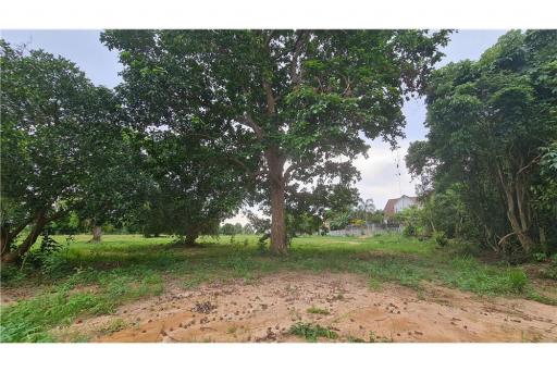 LAND FOR SALE (National Higway No.36) ขายที่ดิน