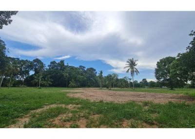 LAND FOR SALE (National Higway No.36) ขายที่ดิน