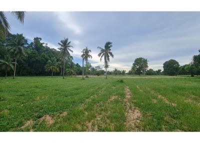 LAND FOR SALE (National Higway No.36) ขายที่ดิน - 920311004-806