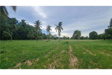 LAND FOR SALE (National Higway No.36) ขายที่ดิน