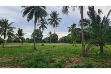 LAND FOR SALE (National Higway No.36) ขายที่ดิน