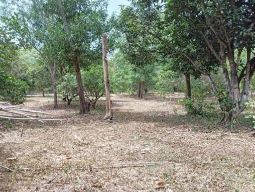 Garden land for sale, Bang Lamung, Pong Subdistrict, Chonburi, fronting on Santikham Road.
