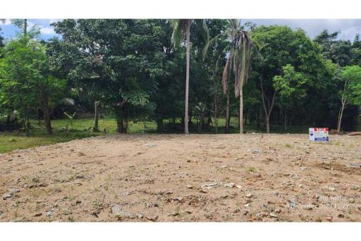 Land for Sale near Home Pro Samui