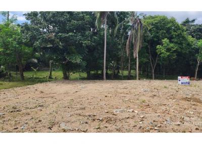 Land for Sale near Home Pro Samui - 920121018-225