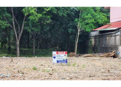 Land for Sale near Home Pro Samui - 920121018-225