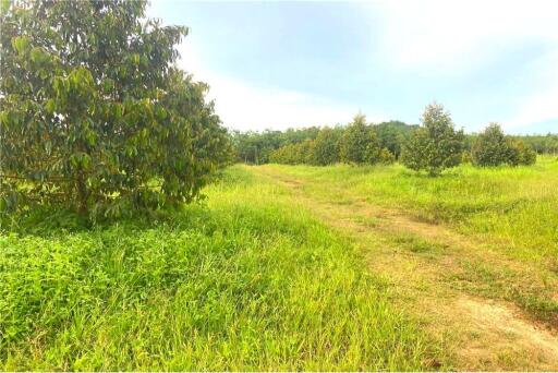 30,429 Sqm. Land listed for ฿ 15,000,000.